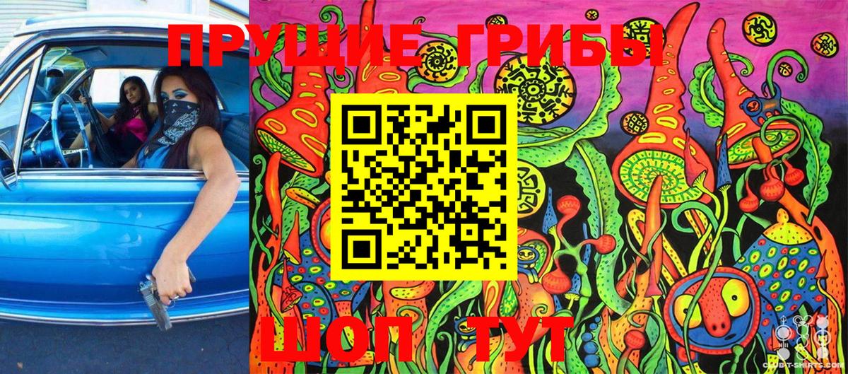 Галлюциногенные грибы Cubensis Семёнов