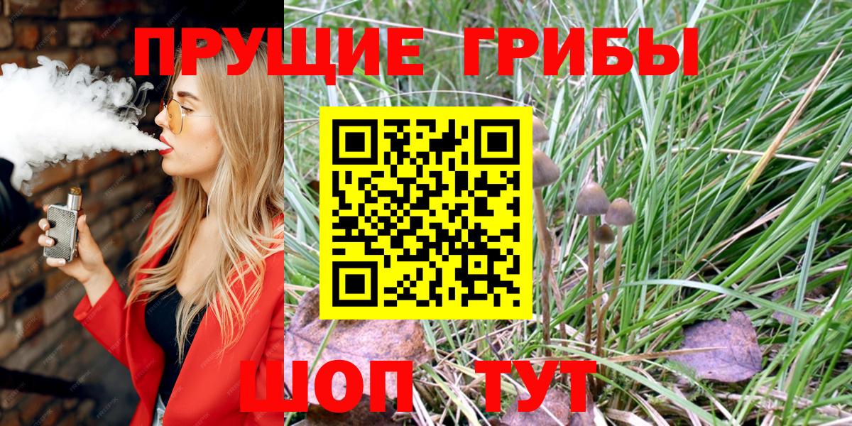 Галлюциногенные грибы прущие грибы  хочу   Семёнов  Вход с VPN 